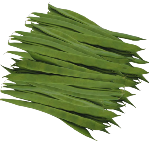 Helda Beans